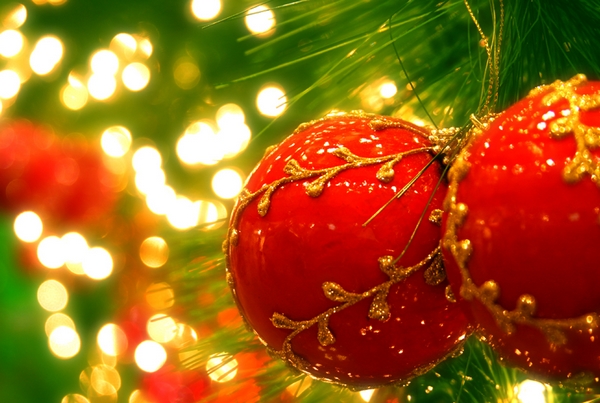 A dicembre saremo aperti anche il lunedì!